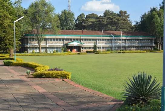Surviving University Life in Egerton