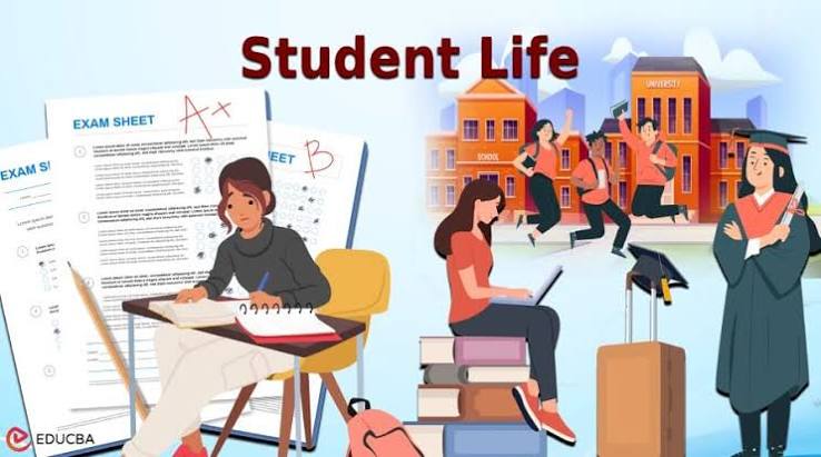Practical Wellness Hacks for Student Life on Campus